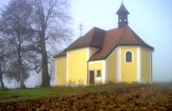 Kirchen - Steinwald